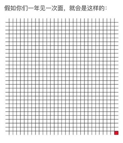 a4纸人生表格是2016年的网络流行语,该词语的解释为:生不过短短的900