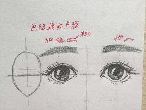 画眼睛的步骤13 眉毛也有很多种形式,方向是重点.