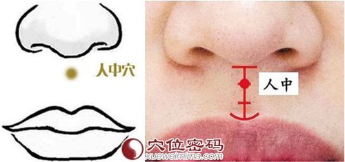 人中穴水沟穴