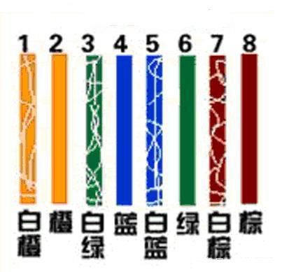 剥线 使用圆线剥线口,将网线的外皮剥开.
