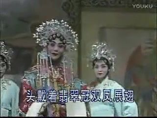 优酷搬运豫剧打金枝全本刘忠河黄爱菊