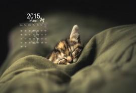 2015年1月日历绿色植物竹子屏保高清电脑桌面壁纸下载