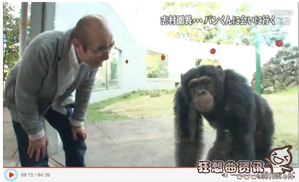 猩猩小庞近况如何?小庞搭档斗牛犬詹姆斯去世