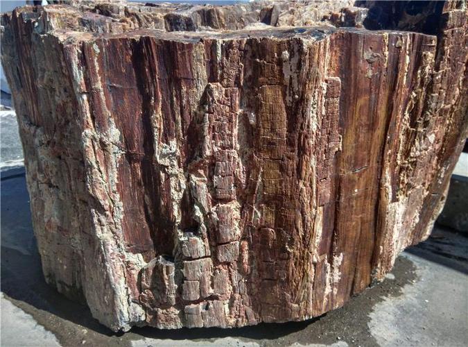 树化石近期拍卖成交记录