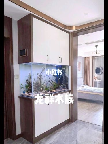 入户玄关柜嵌入式鱼缸设计案例 鱼缸设计_玄关_鱼缸_家居家装_装修