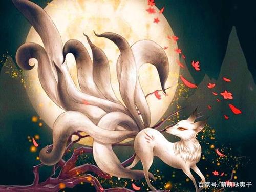 罄竹难书无恶不作的狐狸精真的是坏蛋吗?说一说狐狸精的那些事