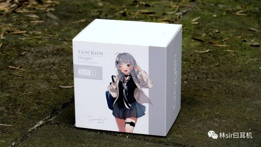 与众不同的风——tanchjim浅野天琪林氏评测
