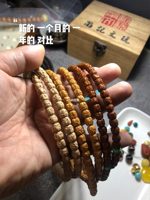 佛手小金刚_菩提_金刚菩提_兴趣爱好_兴趣爱好其他