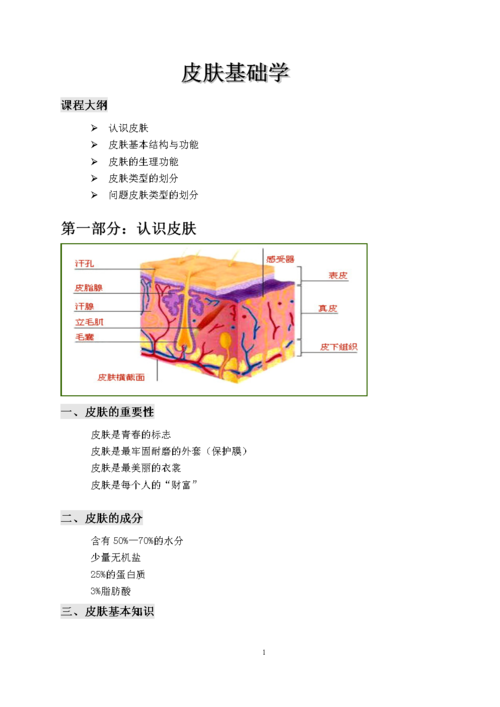 关于皮肤基础知识的详解.doc