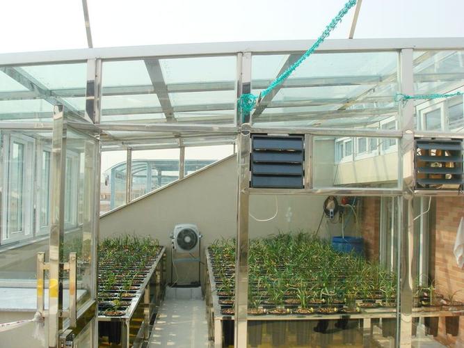 兰花搬入新兰房!