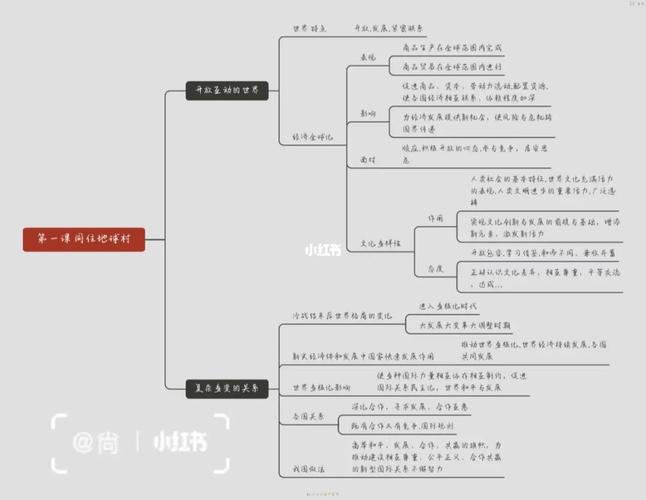九下政治思维导图(1-4)