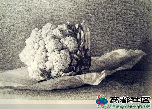 克劳迪奥·布雷沃素描作品
