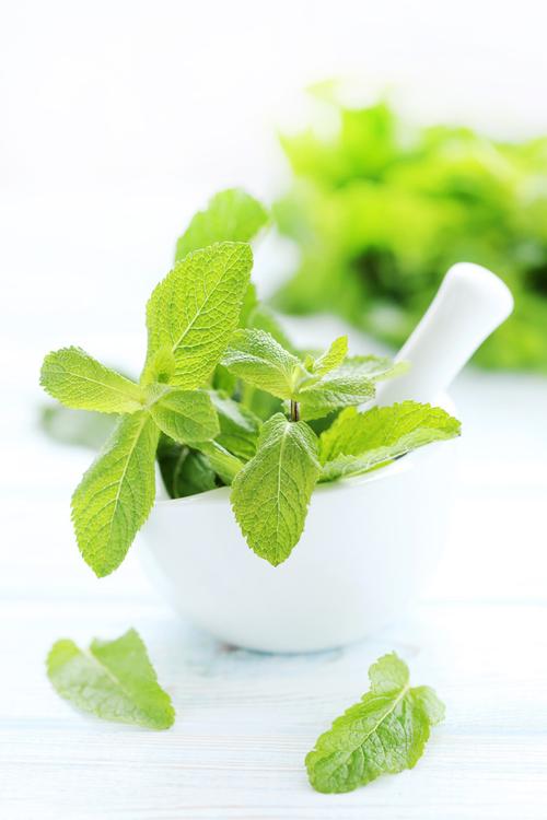 薄荷水不能和什么一起吃?这些食用的禁忌都来了解下吧