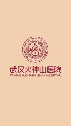 火神山 雷神山 医院logo公益设计 (荷儒道荷善设计)