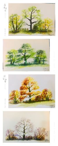 一年四季的树