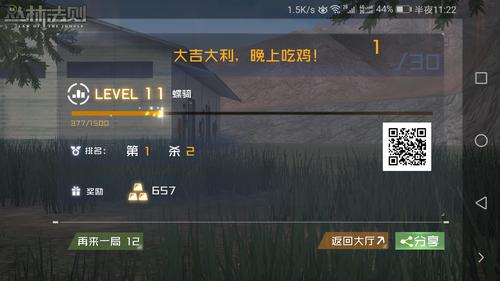 留下你的id,吃鸡吧.