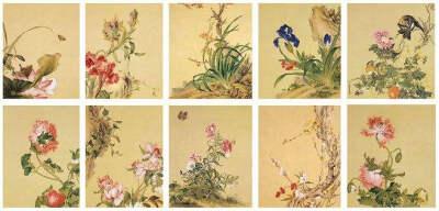 "清" 郎世宁 《花鸟图册》赏析