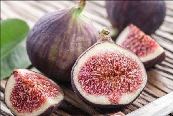 无花果的功效