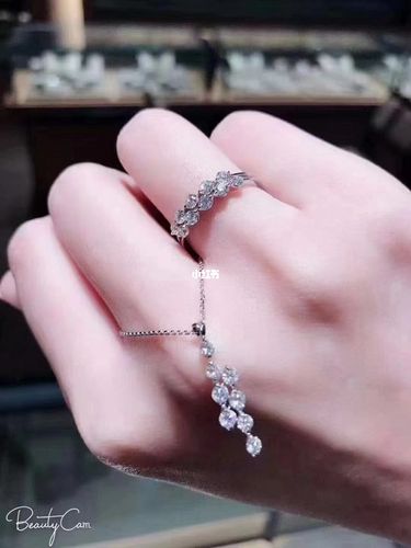 谢瑞麟tsl——94 花语恋人系列_花语_谢瑞麟怎么样