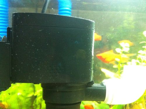 分享到:  2012-12-07 10:46 提问者采纳 蛋白虫,这种虫子没害的,有的