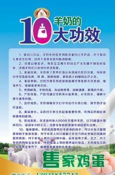 羊奶10大好处广告图片