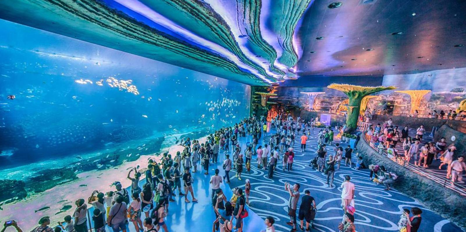 史上最全的珠海长隆海洋王国攻略!看完这篇文章就够了