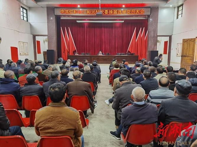 湖南织密村"两委"换届监督网
