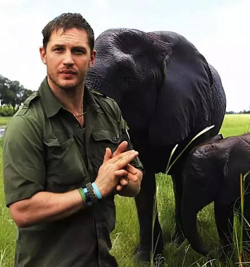 不露脸也能让你臣服,我推荐汤姆·哈迪