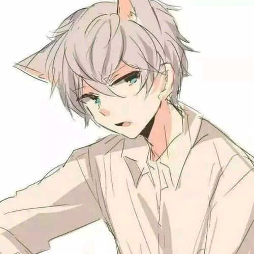二次元猫耳情侣头像