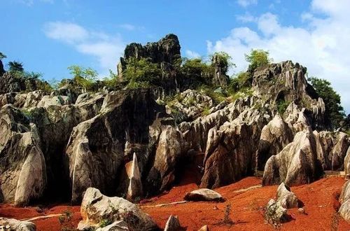 知道福建省也有一座中国四大石林之一的国家重点风景名胜区--永安石林