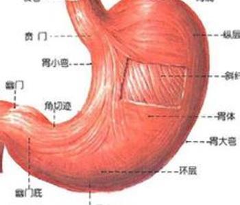 慢性萎缩性胃炎