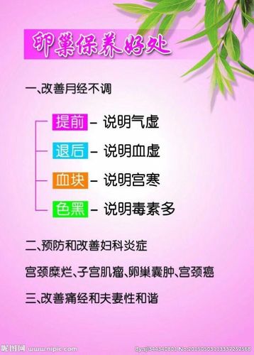 臻享瘦卵巢养生,想要年轻就做卵巢保养