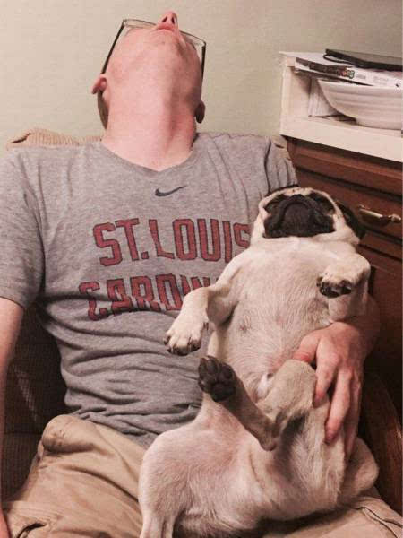 人和动物的有爱瞬间