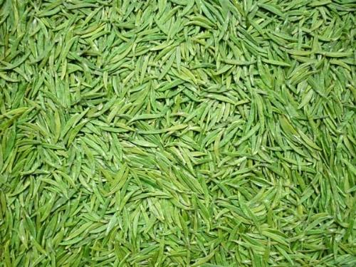 2012武平绿茶 翠芽 龙井茶型 明前 包邮 色香味全 600元
