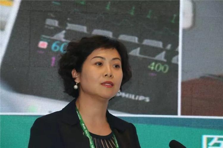 为客户提供最优的整体解决方案   飞利浦中国区副总裁朱海鸾介绍了