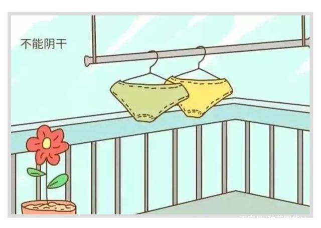 女生的内裤到底有多脏?90%女生都中招!