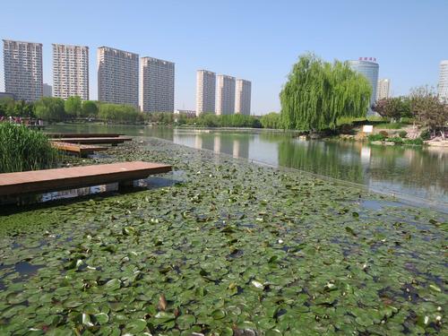 任城湿地公园
