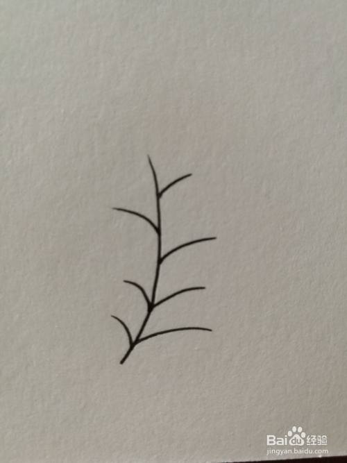 小草简笔画之画法十三