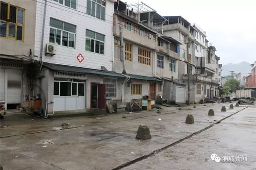 违章建筑,石陂镇,群众,浦城县,白鹅,市场