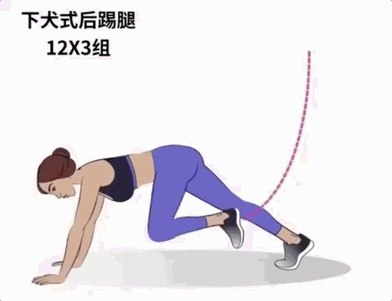 4.支撑后踢腿15个/组×4