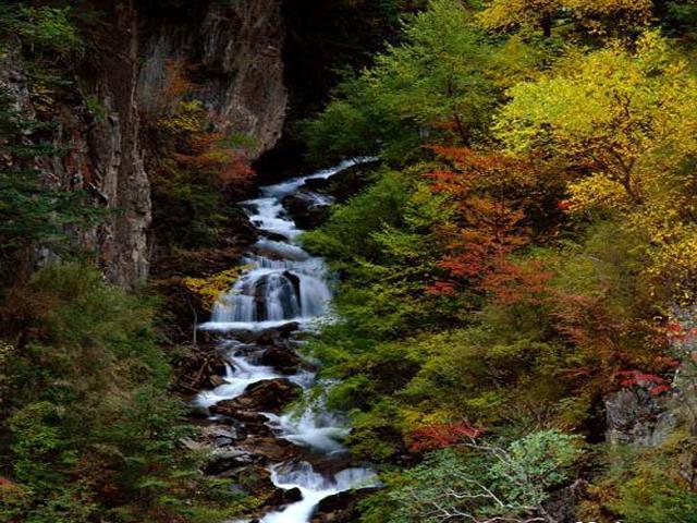 人间龙宫:崇州九龙沟