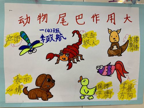 一(4)班 《动物尾巴作用大》手抄报集