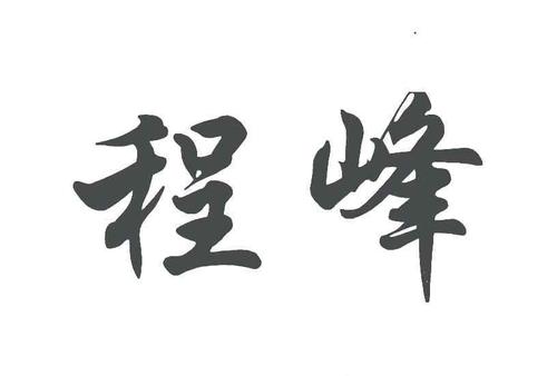  em>程峰 /em>