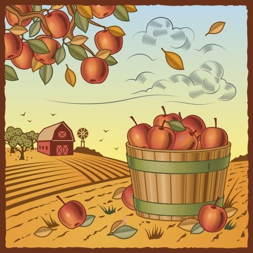 浏览本次作品的您可能还对丰收,秋天,果实,苹果感兴趣.