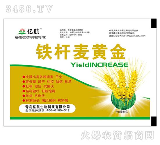 铁杆麦黄金亿航