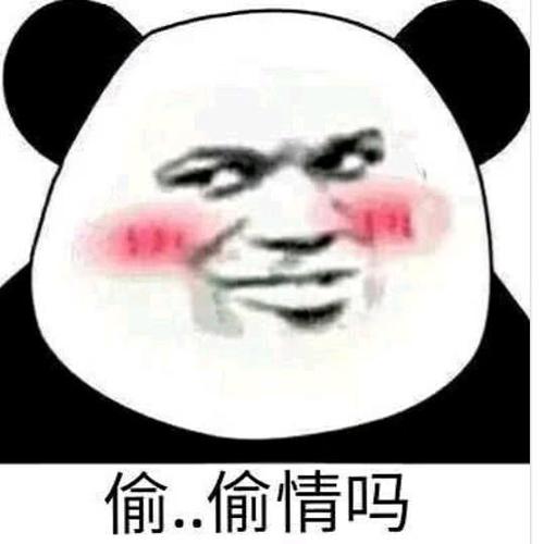 和女朋友聊天应该怎么开场,扔一个表情包给她吧,她会