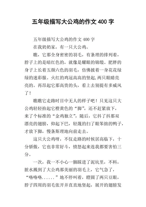 五年级描写大公鸡的作文400字_1