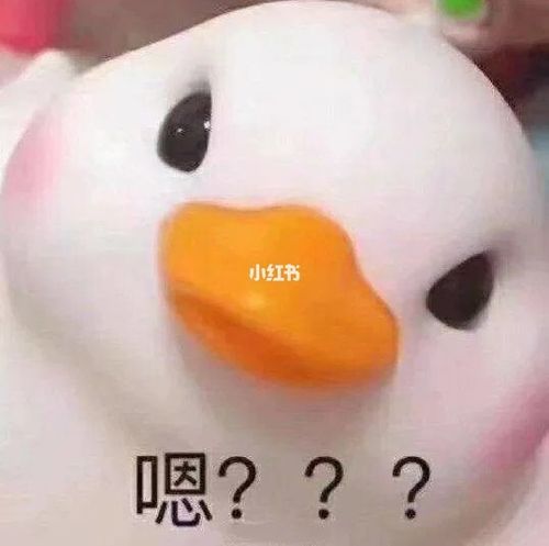 表情包丨小小的脑袋,大大的疑惑_表情包_宠物_小朋友