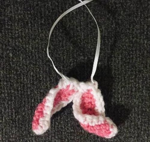 小兔子天生没耳朵,主人给它织了一对兔耳朵,戴上更可爱啦!