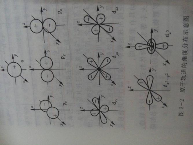 原子轨道的角度分布示意图是什么意思.看不懂?